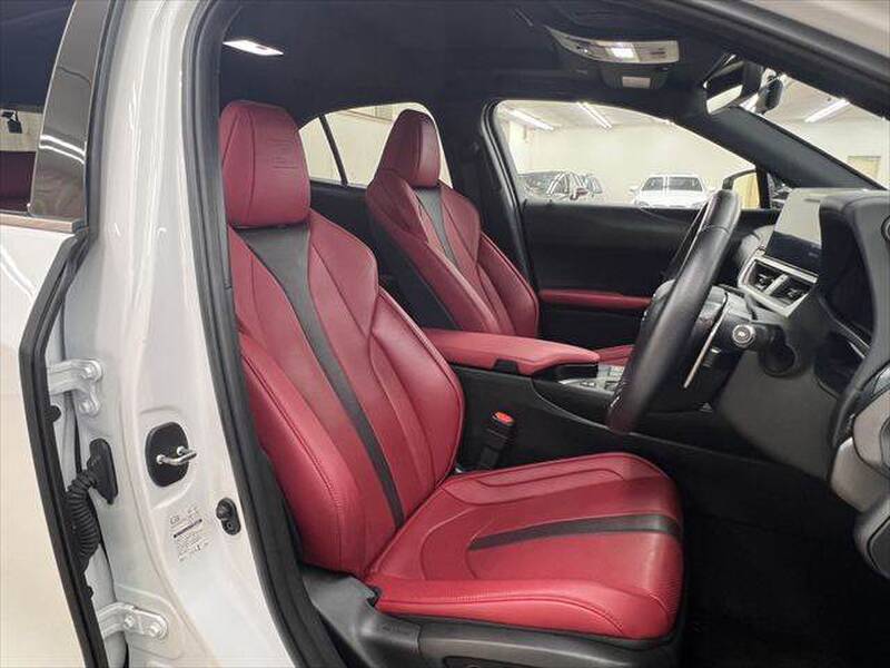 2022 LEXUS UX for sale - photo 9