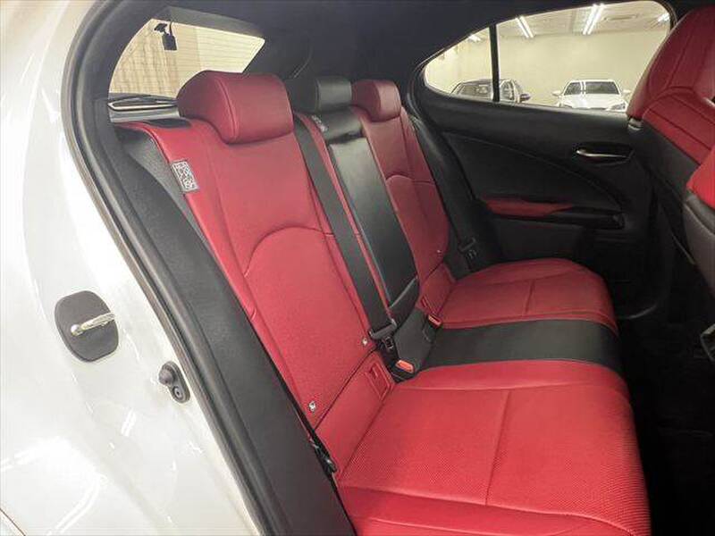 2022 LEXUS UX for sale - photo 10