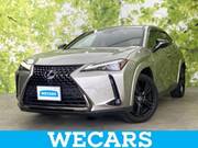 2021 LEXUS UX