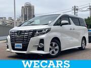 2015 TOYOTA ALPHARD