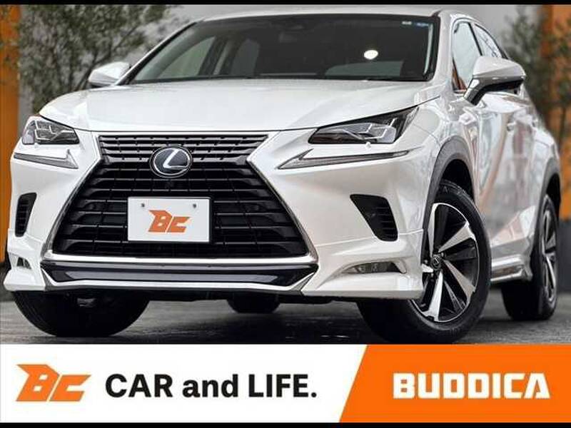 2018 LEXUS NX for sale