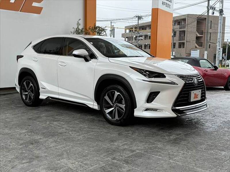 2018 LEXUS NX for sale - photo 9