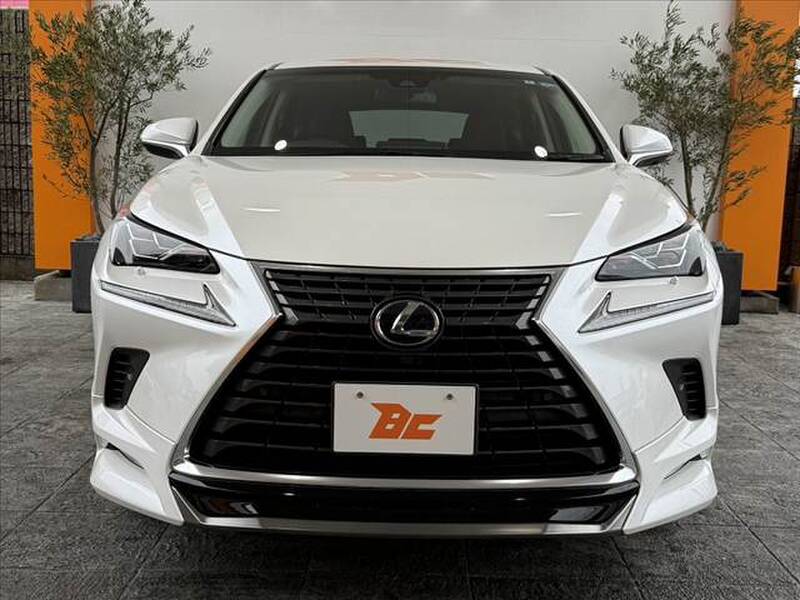 2018 LEXUS NX for sale - photo 10