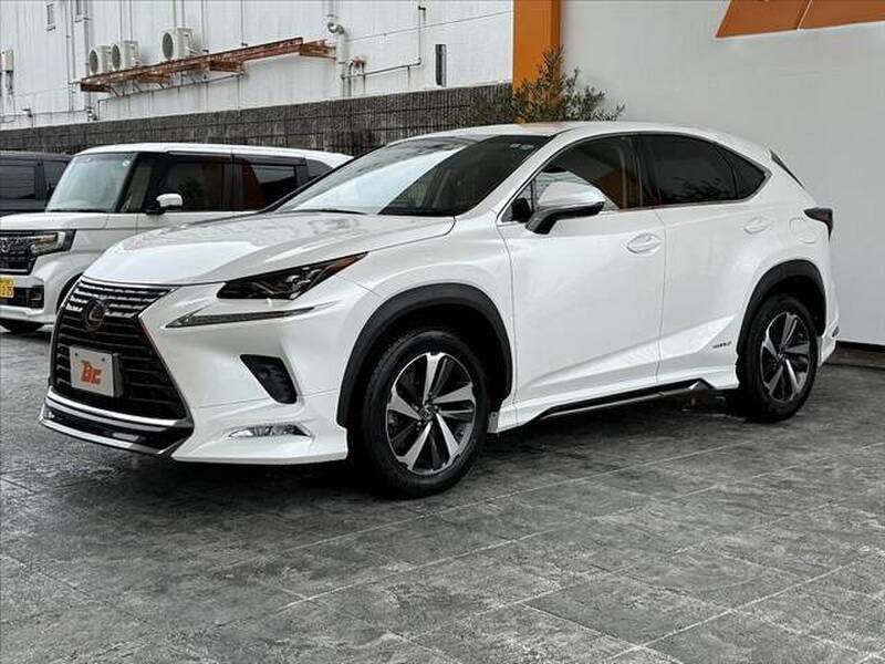 2018 LEXUS NX for sale - photo 11