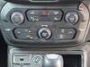 CHRYSLER JEEP RENEGADE