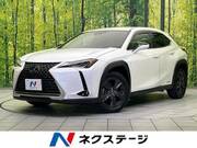 2020 LEXUS UX