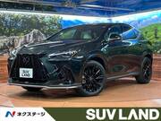 2024 LEXUS NX