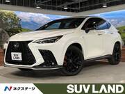 2024 LEXUS NX