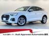 AUDI OTHER