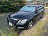 MERCEDES BENZ E-CLASS Stationwagon