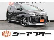 2019 TOYOTA ALPHARD