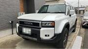 2025 TOYOTA LANDCRUISER 250