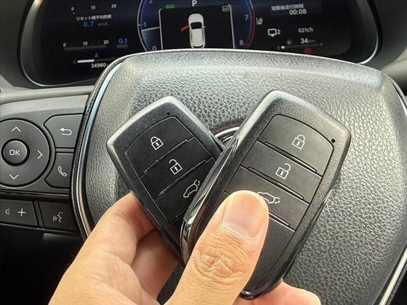 2024 TOYOTA HARRIER (LEXUS RX300) for sale - more photos