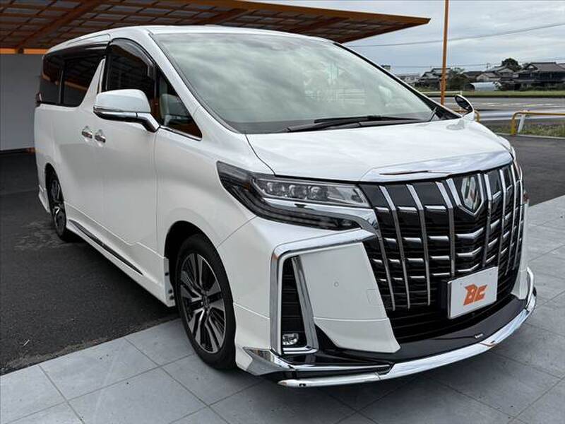 2019 TOYOTA ALPHARD for sale - photo 11