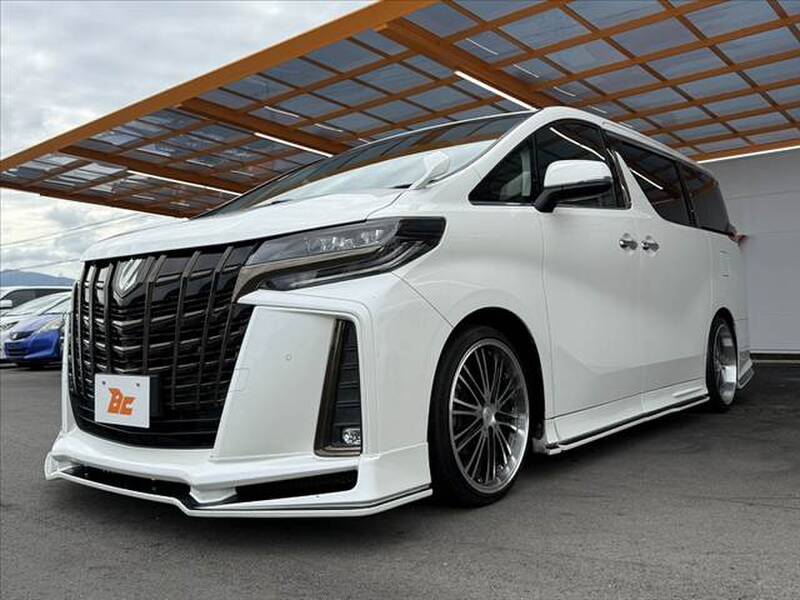 2019 TOYOTA ALPHARD for sale - photo 9