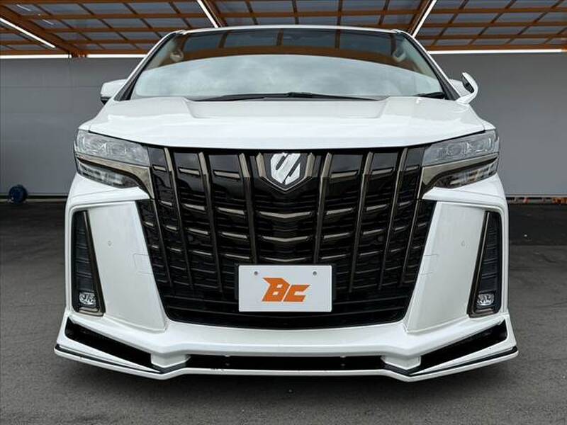 2019 TOYOTA ALPHARD for sale - photo 10