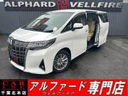 2019 TOYOTA ALPHARD 2.5G