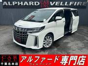 2019 TOYOTA ALPHARD