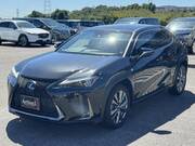 2019 LEXUS UX