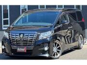 2017 TOYOTA ALPHARD