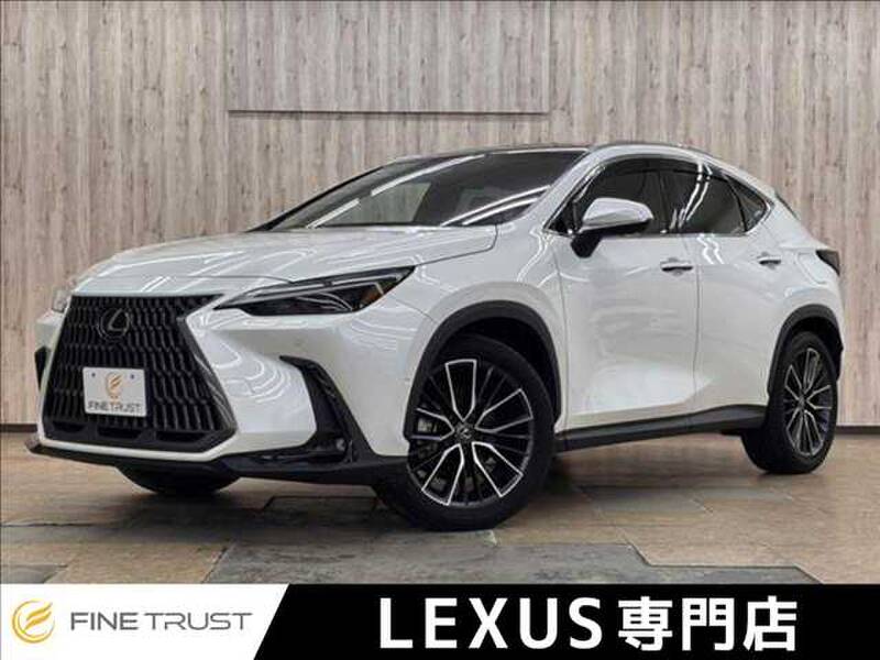 2023 LEXUS NX for sale