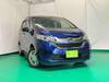 HONDA OTHER