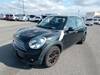 ROVER MINI