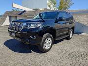 2022 TOYOTA LAND CRUISER PRADO TX