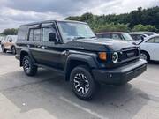 2025 TOYOTA LAND CRUISER