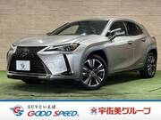 2019 LEXUS UX