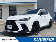 2024 LEXUS NX