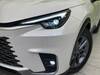 LEXUS OTHER