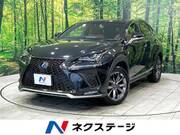 2019 LEXUS NX