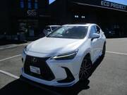 2024 LEXUS NX