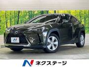 2019 LEXUS UX