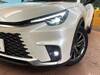 LEXUS OTHER