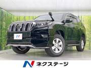 2021 TOYOTA LAND CRUISER PRADO TX