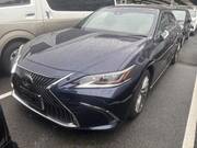 2019 LEXUS ES