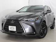 2025 LEXUS NX