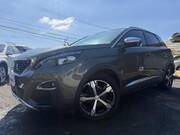 2019 PEUGEOT 3008