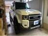 TOYOTA LANDCRUISER 250