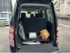 LAND ROVER DISCOVERY 4