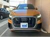 AUDI OTHER