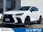 2025 LEXUS NX