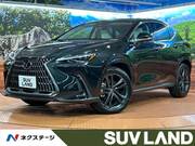 2026 LEXUS NX