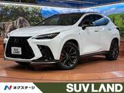 2026 LEXUS NX