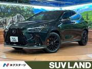 2025 LEXUS NX