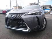 2021 LEXUS UX