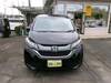 HONDA OTHER