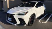 2023 LEXUS NX
